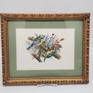 Vintage Framed Bird Illustration by Vortigern Gold Wooden Ornate Frame 13x10"